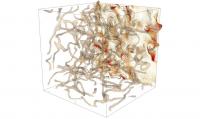 Visualization of quantum turbulence state in ultracold Fermi gas
