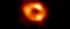 The image of a black hole at the heart of the Milky Way