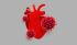 Graphics presenting a heart and coronavirus particles
