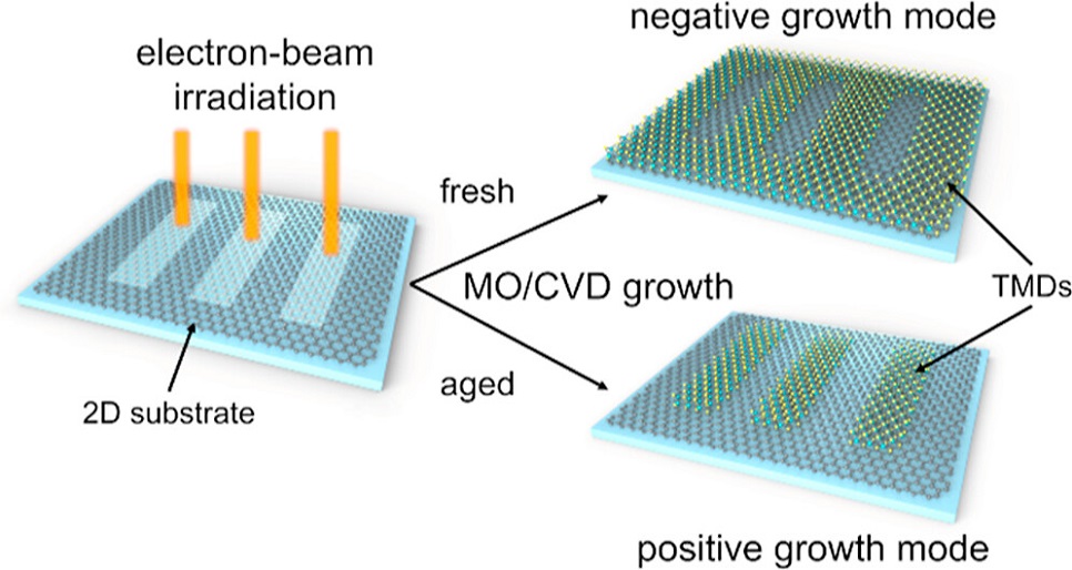 Graphic summary of the developed methods