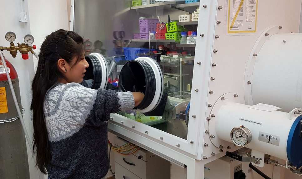 Photo of Claudia Limachi Nina, MSc, Eng. in the laboratory