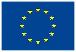 A photo of European Union flag 