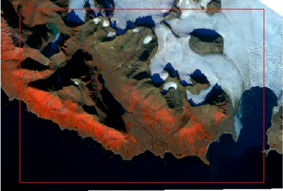 Photo of the 3rd composition from the end of the melting period, showing no snow cover. Ice-covered areas (light blue), uncovered rock (gray), vegetation (red), and sea waters (navy blue) are visible. Shadows (black, dark blue) are a significant obstacle in image analysis and automatic detection, disrupting and complicating machine learning in class recognition