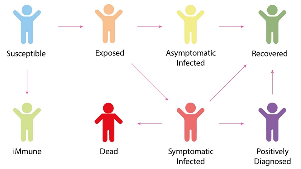 Graphics showing COVID-19 infection states