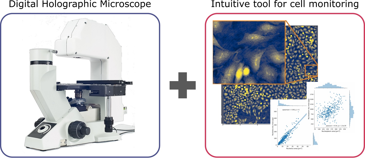 Graphics which shows digital holographic microscope and a cell state monitoring tool