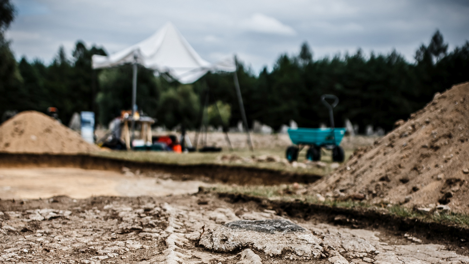 The photo shows research work at the Treblinka Extermination Camp (photo: Natalia Zalewska)