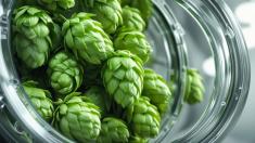 In the photo: hop cones (Lupuli flos)