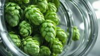 In the photo: hop cones (Lupuli flos)