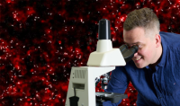 Researchers at Warsaw University of Technology observe living cells
