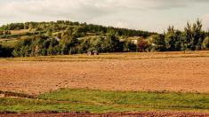 In the photo: a rural landscape: in the foreground, a field; in the background, a tractor, a forest, and a house.