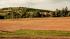 In the photo: a rural landscape: in the foreground, a field; in the background, a tractor, a forest, and a house.