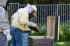 Photo of Łukasz Boruc, PhD, while setting up the apiary