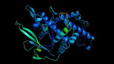 Simulation of a protein's three-dimensional structure by artificial intelligence, photo: DeepMind