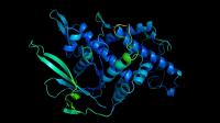 Simulation of a protein's three-dimensional structure by artificial intelligence, photo: DeepMind